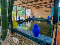 Le jardin Majorelle - 05/10/22