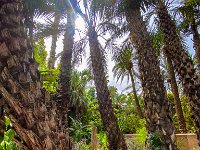 Le jardin Majorelle - 05/10/22