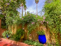 Le jardin Majorelle - 05/10/22