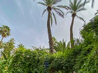 Le jardin Majorelle - 05/10/22