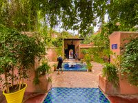 Le jardin Majorelle - 05/10/22