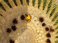 Le jardin Majorelle - 05/10/22