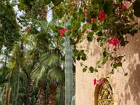 Le jardin Majorelle - 05/10/22