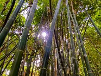 Le jardin Majorelle - 05/10/22