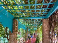 Le jardin Majorelle - 05/10/22