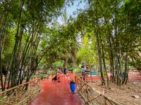 Le jardin Majorelle - 05/10/22