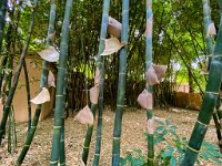 Le jardin Majorelle - 05/10/22